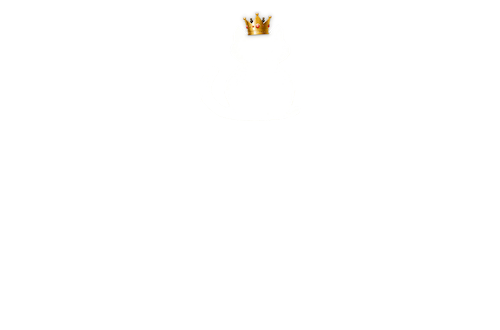 This Is Meowness